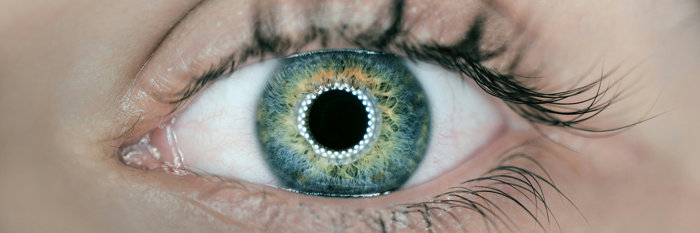 menschliches Auge gestochen scharf dargestellt