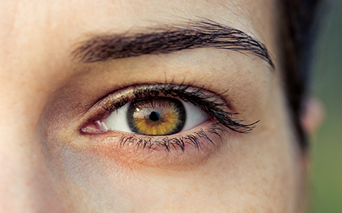 Frau mit brauen Augen im Bildausschnitt