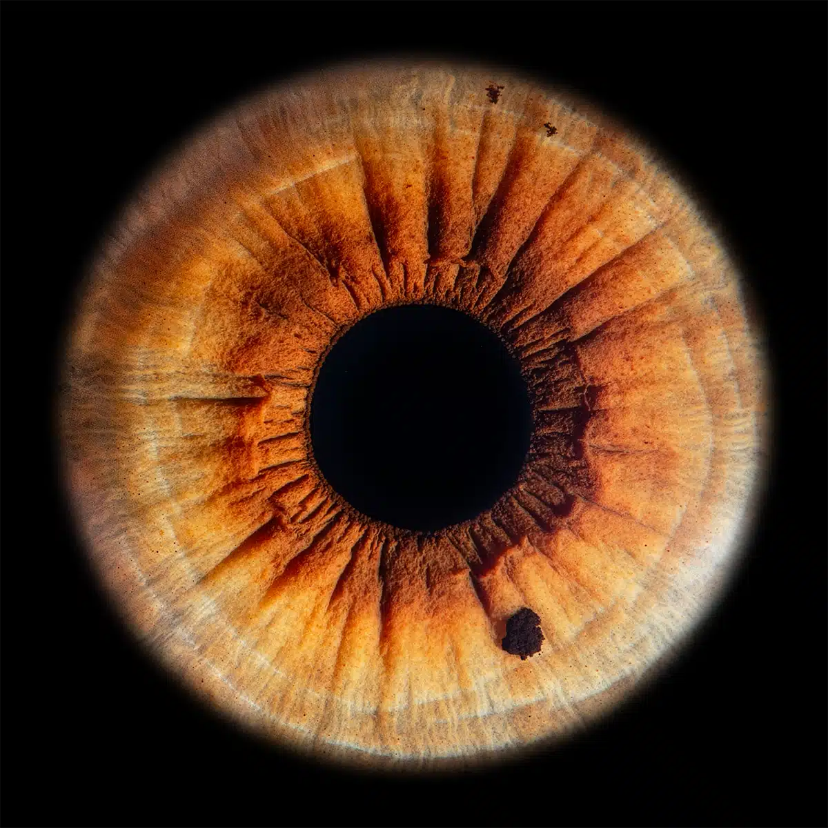 Irisfotografie Einzelportrait Square – IRISIOpic Siegen